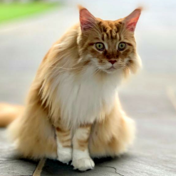 Namaste - Picture 6 of 16